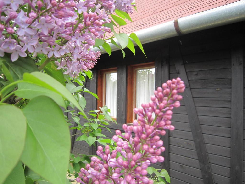 Sóstói Lovaskemping és Turistaház Hotel Nyíregyháza Exterior foto